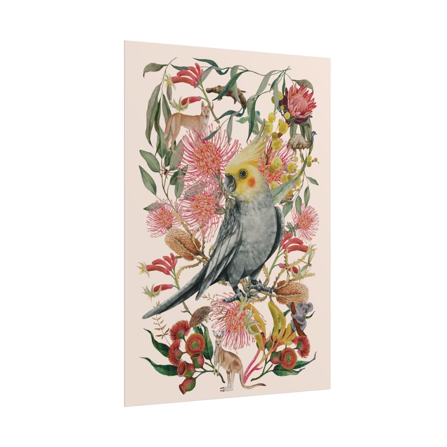 Australian Native Cockatiel unframed poster - Solei Designs