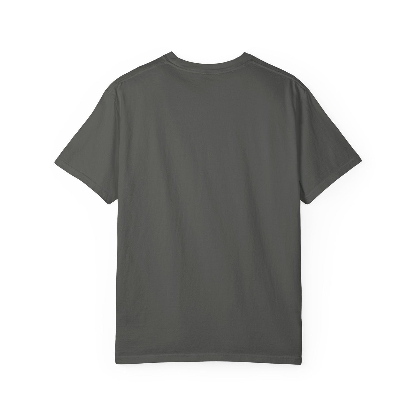 Dragonfly Affirmation T Shirt - C1717 Custom Graphic Soft style T Shirt - Solei Designs