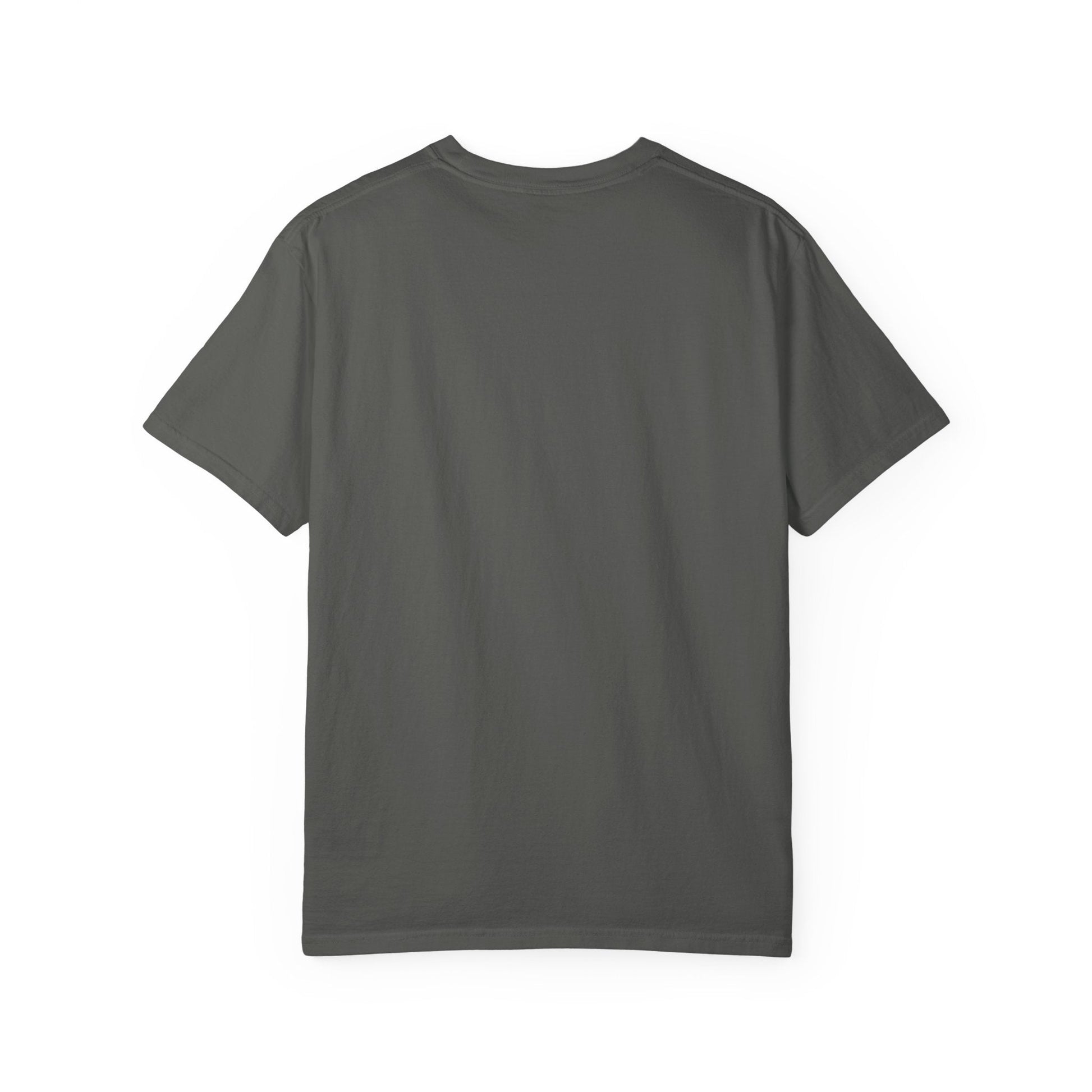 Dragonfly Affirmation T Shirt - C1717 Custom Graphic Soft style T Shirt - Solei Designs