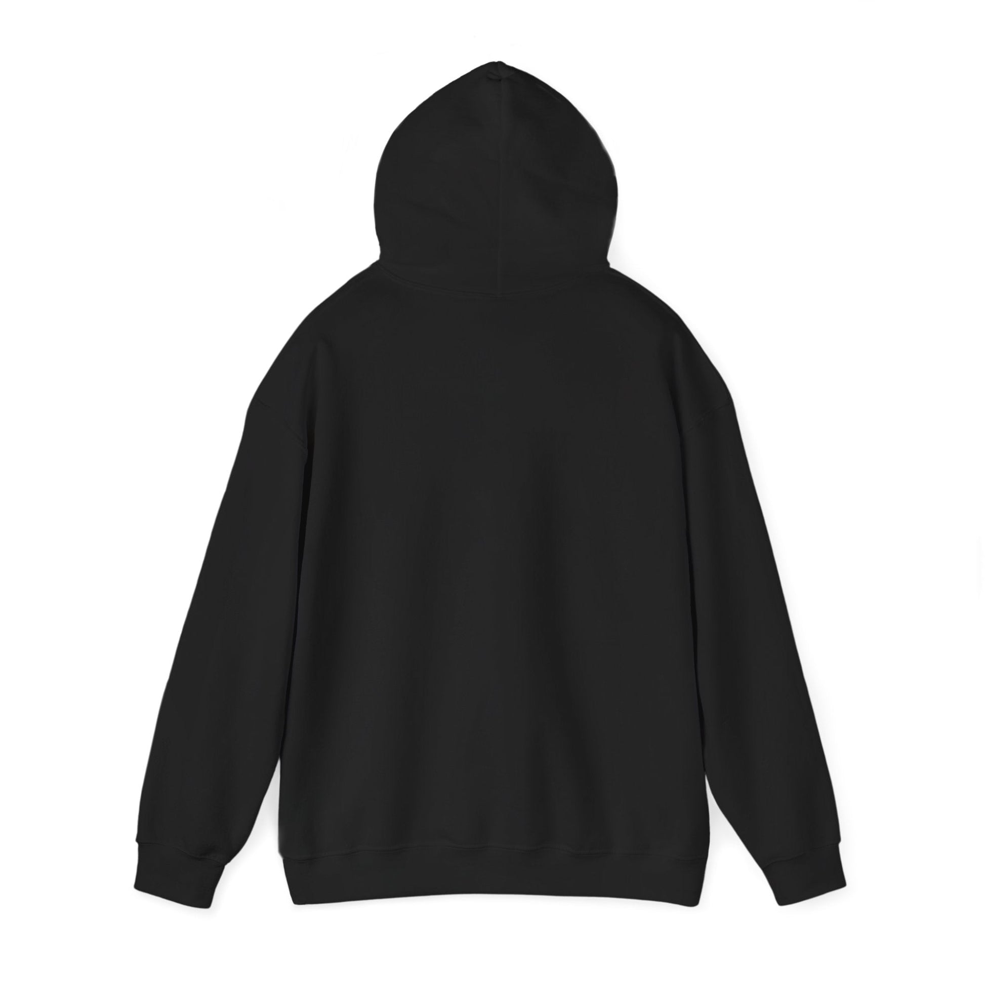 Dragonfly Hoodie - Hand - Drawn Dragonfly Illustration Pullover - Solei Designs