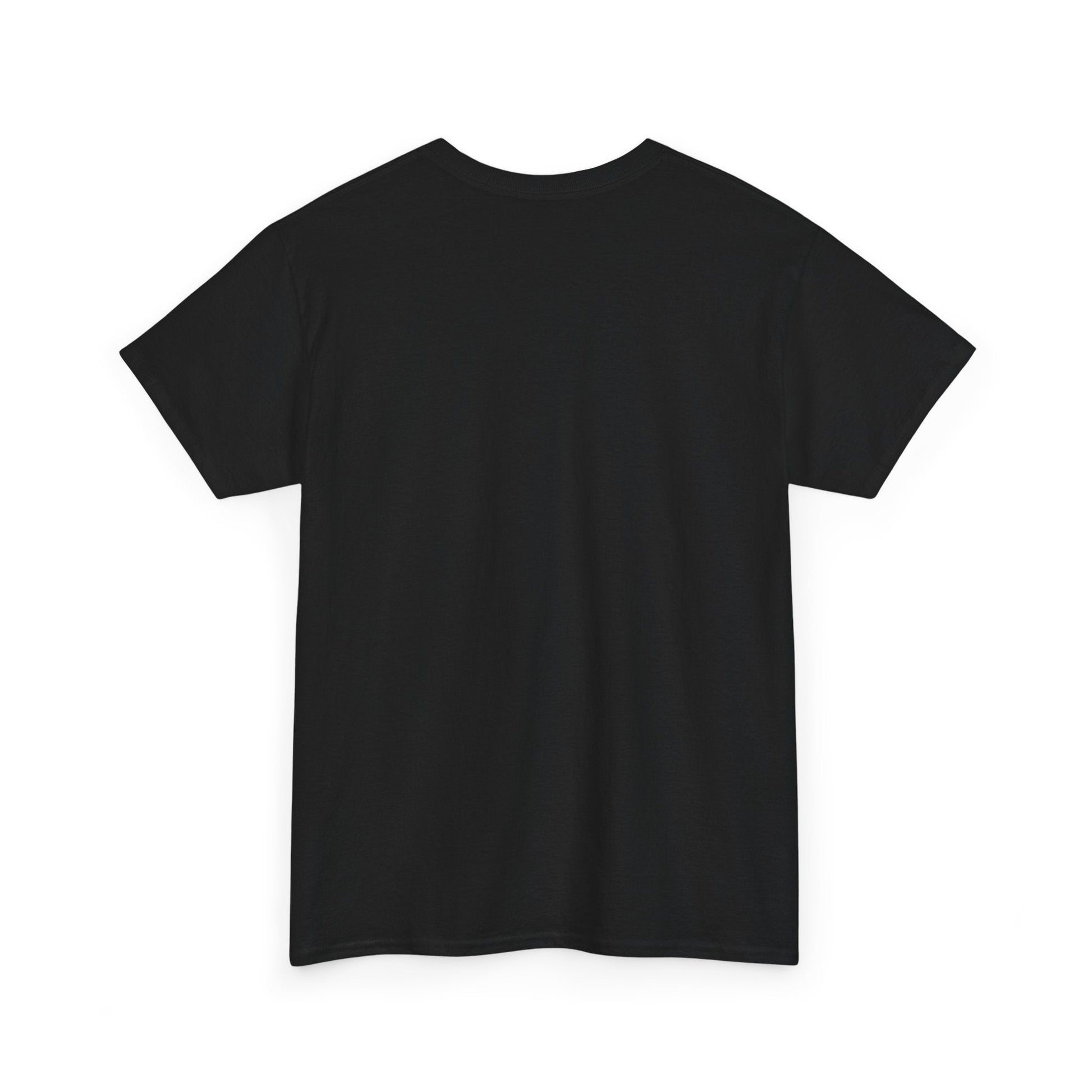 Twin Falls Springbrook QLD custom designed Australian souvenir t shirt - Solei Designs
