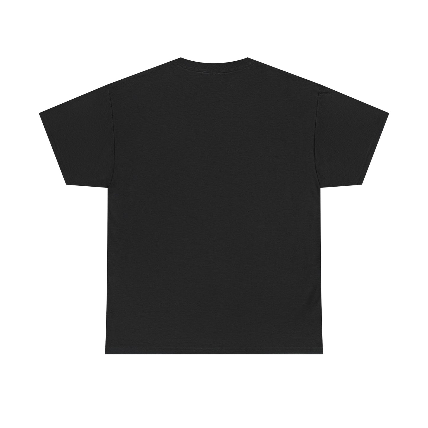 Twin Falls Springbrook QLD custom designed Australian souvenir t shirt - Solei Designs