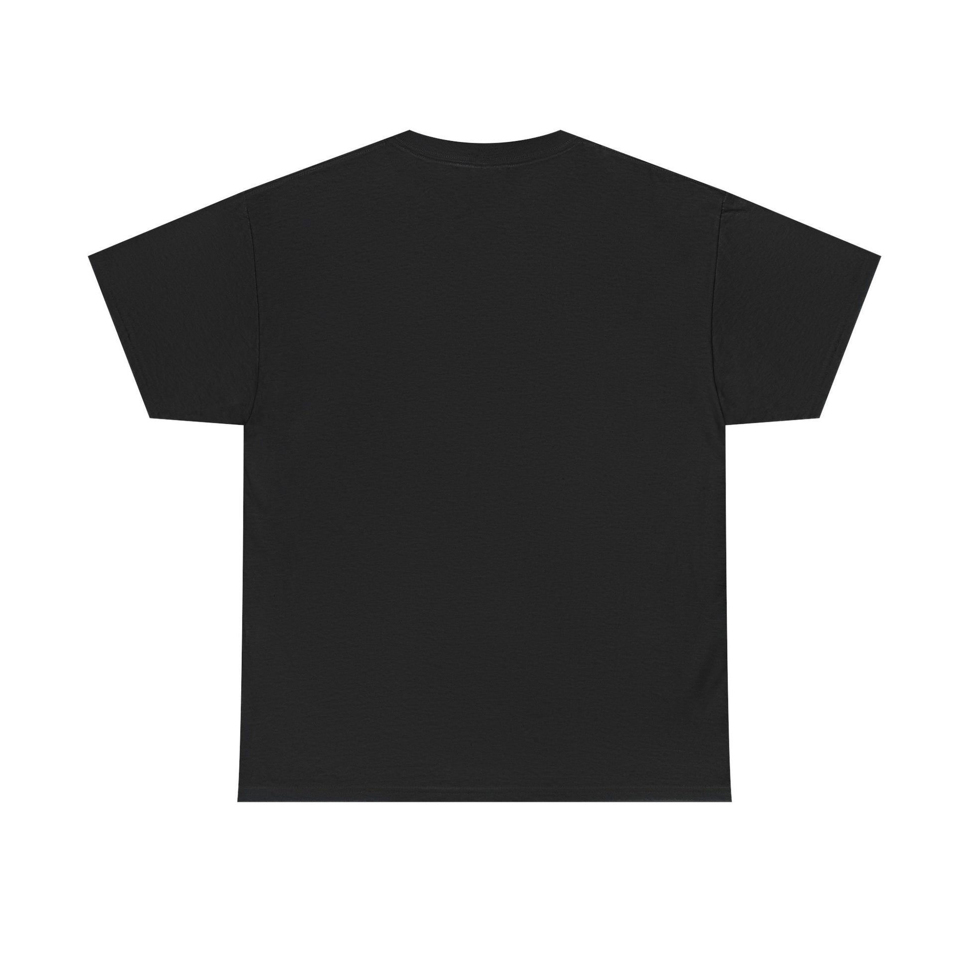 Twin Falls Springbrook QLD custom designed Australian souvenir t shirt - Solei Designs